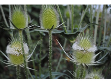 �������� �������� 80