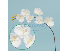 ��000523 ������� ���������� ������� ����� 60 �� (36 �� � ���.)(Mbox 360 ��.) 60.80�.png