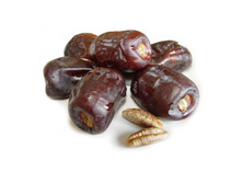 ������ ����� "��������" (�������), 0,5 ��