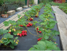 ��������� ����� 50���..jpg