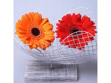 ���������� ��� ������ KE 13317 650�.jpg