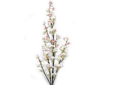 7143:00012� ����� ������ 1,2� 7143:00012� ����� ������ 1,2� ------ ������� 7143:00012� �������,�� 1,2� ����,���. (��) 375.00.jpg