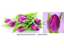 Stock-photo-tulips-collage-128357825.jpg