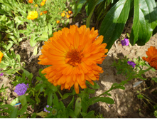 P1040113.JPG �������� �������