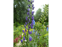 P1040054.JPG ������