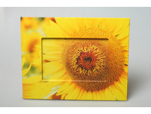 ��������� ��������� 21701 270�.jpg