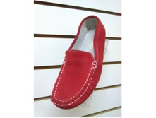 ����������� ����