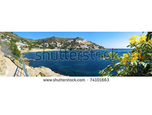 Stock-photo-panorama-over-cala-canyelles-petites-bay-with-flowers-in-foreground-mediterranean-sea-rosas-74101663.jpg