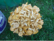 �������� ������� �� 100�.�� 1 ��