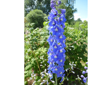 P1040017.JPG ���������� 80�