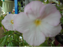 DSC01331.JPG