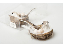 ������ RF 1210523020 80�.jpg