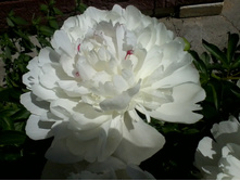 ����-0039.jpg