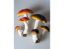 ����� � �������� 395�.jpg