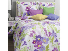 552205/653 ��� 2�� (Helen) �(2)50*70