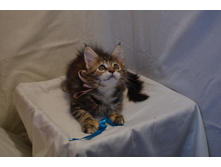 2 ������