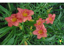 �������� ��������� ����� 180