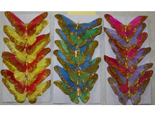 ������� 24�� (2) 315�.jpg