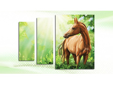 070003� 127003�.jpg