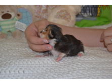 1 ������