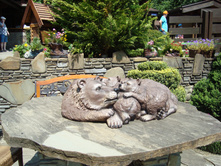 DSC07009.JPG