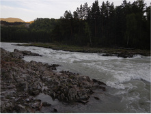 DSCN0214.jpg