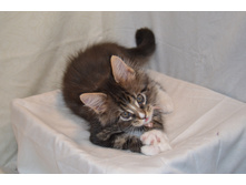 2 ������