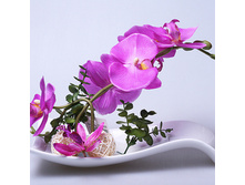 ���������� �� ������������� ������ � ������������ ����� YX 11068 700�.jpg