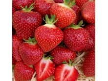 ��������� ������� 40���..jpg