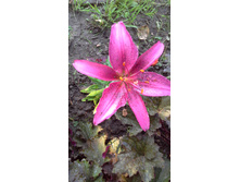 20150627 190344.jpg