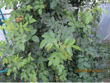 ��������...