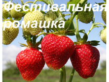 ��������� ������������ ������� 50���..jpg