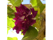 �������� ������