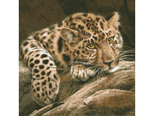�-304.jpg