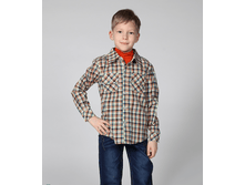 204004.PNG-.PNG204004-������� ���������������-�/�