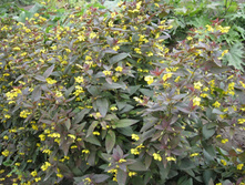 ��������� ��������� ���������� 80