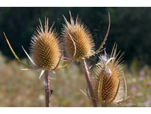 �������� �������� 80