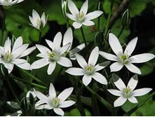 ������������ 50