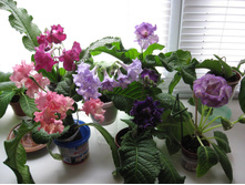 ��������������