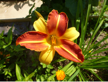 P1040101.JPG �������� ����� �����