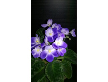 WP 20150416 19 02 08 Pro.jpg