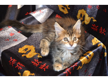 2 ������