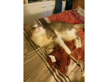 IMG 20150703 183538.jpg