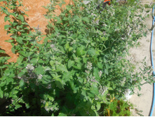 ���� � �������