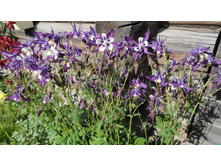 ��������� ��������������� ������ � �����