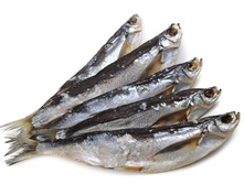 ������ ������� �������.jpg