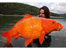 ���� 15-������������� ���� ��� ������ �� ��� �������. �������� ������� �����.