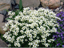 ���������� �������.70