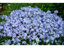 ����� ������������� ��� ������ 90