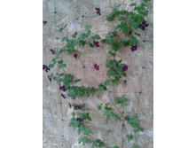 20150711 172412.jpg